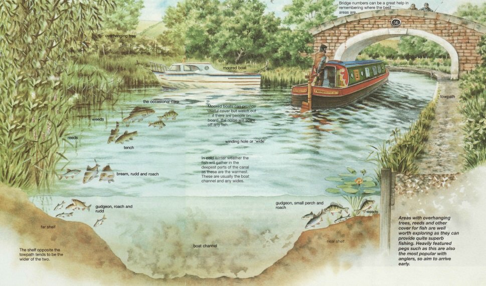 Canal side tactics - Blackcountryfishing